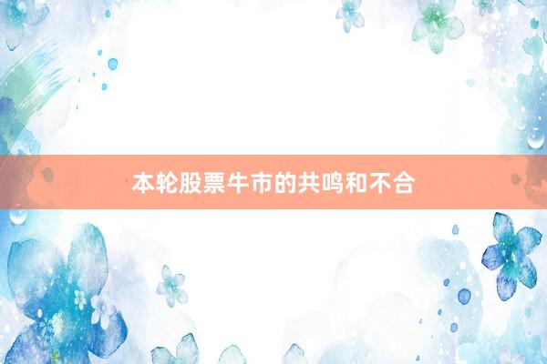 本轮股票牛市的共鸣和不合