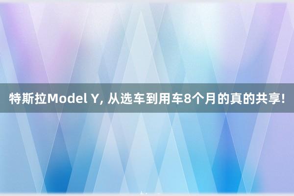 特斯拉Model Y, 从选车到用车8个月的真的共享!