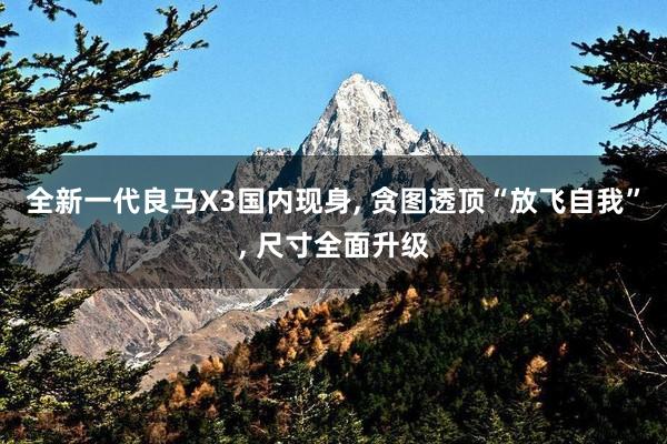 全新一代良马X3国内现身, 贪图透顶“放飞自我”, 尺寸全面升级