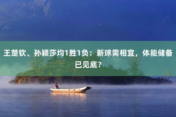 王楚钦、孙颖莎均1胜1负：新球需相宜，体能储备已见底？