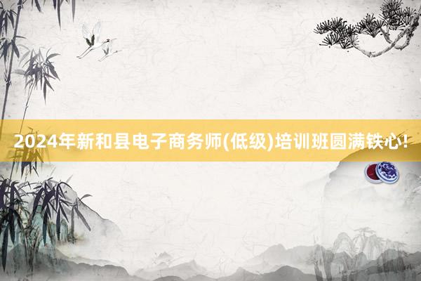 2024年新和县电子商务师(低级)培训班圆满铁心!