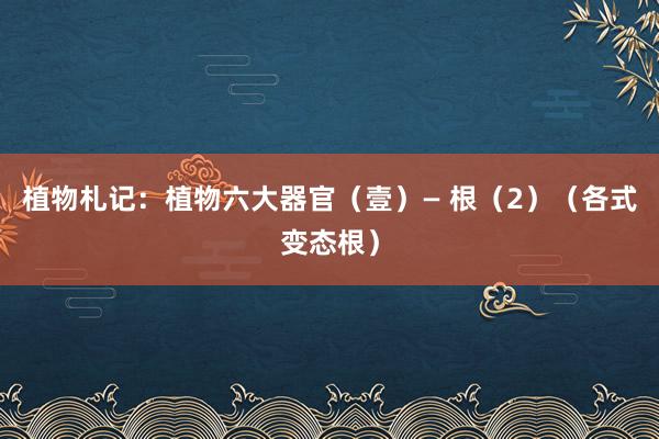 植物札记：植物六大器官（壹）— 根（2）（各式变态根）