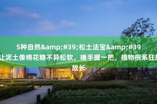 5种自然&#39;松土法宝&#39;，让泥土