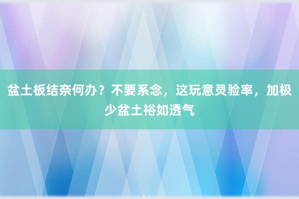 盆土板结奈何办？不要系念，这玩意灵验率，加极少盆土裕如透气